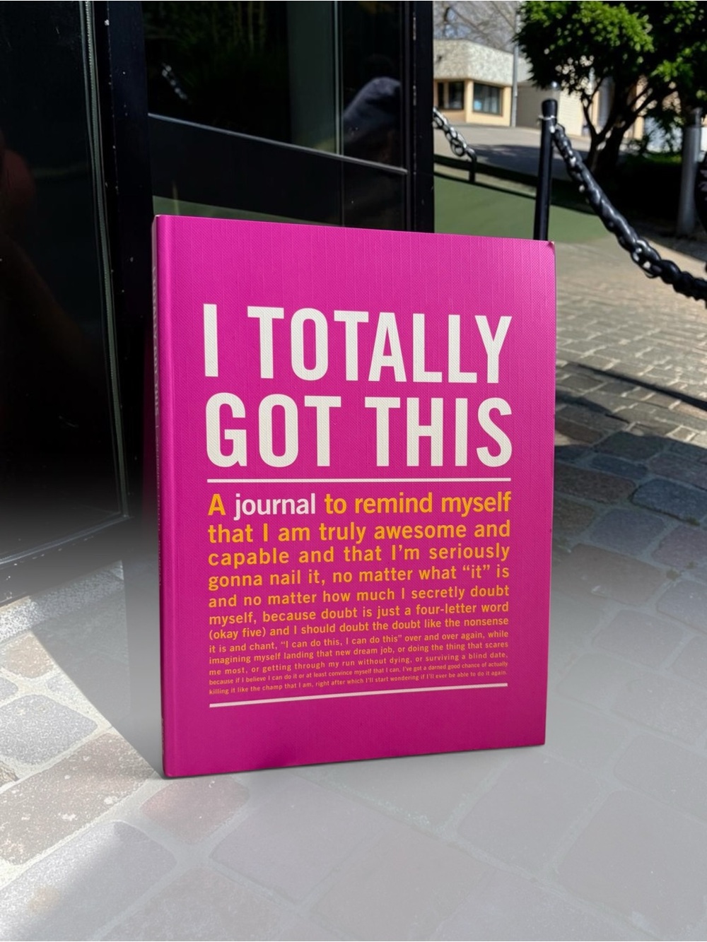 Knock Knock Hot Pink 'I Totally Got This' Journal